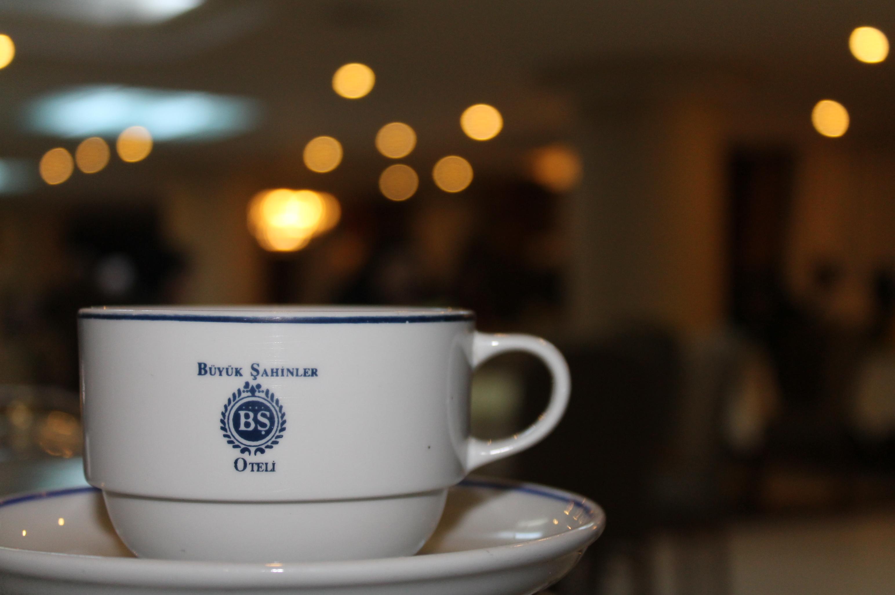 Hotel Buyuk Sahinler Istanbul Bagian luar foto